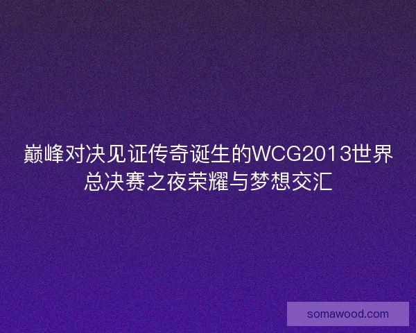 巅峰对决见证传奇诞生的WCG2013世界总决赛之夜荣耀与梦想交汇