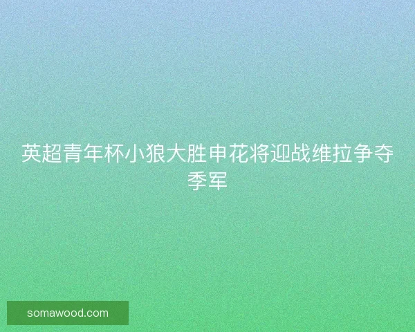 英超青年杯小狼大胜申花将迎战维拉争夺季军